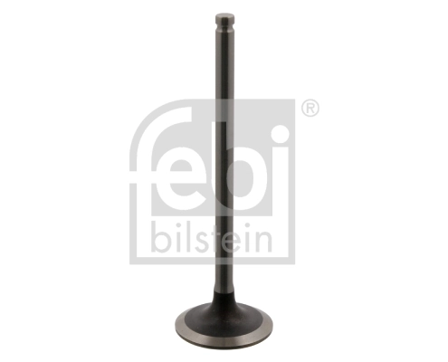 Intake Valve